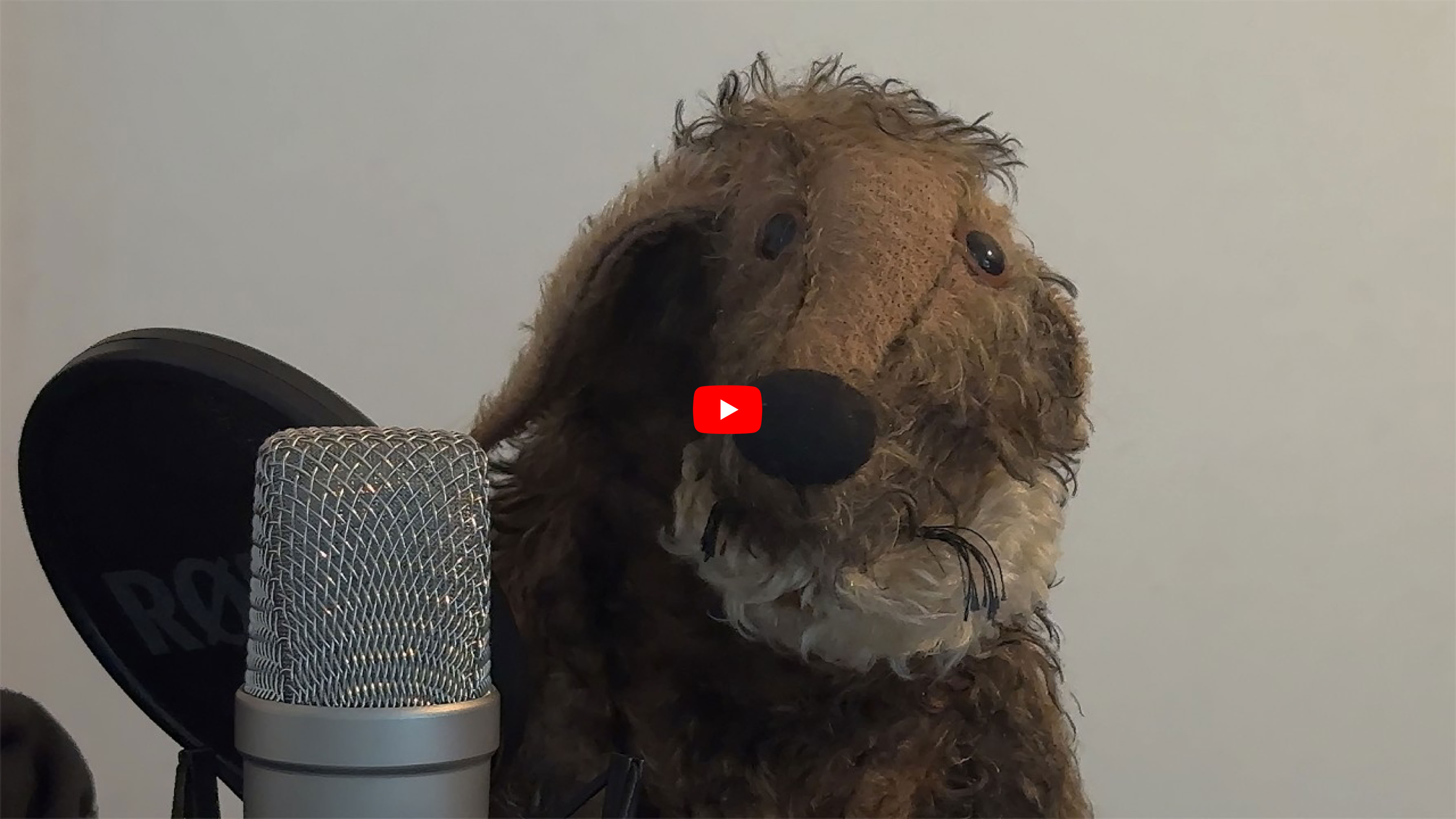 Video abspielen